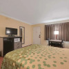 Отель Econo Lodge, фото 5