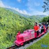 Отель Tianlu Mountain Hot Spring Resort, фото 35