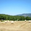 Отель House  Prata, фото 22
