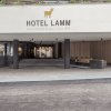 Отель Lamm, фото 41