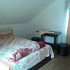 Отель Pensiunea Stefania, фото 13