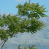 Отель Villa Mor, фото 7