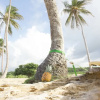 Отель Macao Beach Hostel, фото 25
