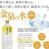 Отель Sanage Onsen Hotel Kinsenkaku, фото 13