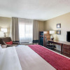 Отель Comfort Inn Barboursville near Huntington Mall area, фото 7