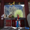 Отель Dengba Meisu (Middle Road Zangzhai), фото 5