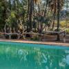 Отель Epupa Falls Lodge, фото 11