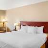 Отель Quality Inn & Suites Edmonton International Airport, фото 3