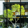 Отель Blue Lagoon Hotel, фото 7