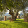 Отель Casa Luciana Diano Marina, фото 14