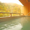 Отель Goshiki Onsen No Yu Ryokan, фото 9
