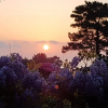 Отель Stunning Flat in the Heart of Swanage Sleeps 6, фото 7