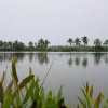 Отель Karthika Homestay, фото 14