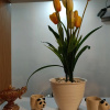 Отель D'Ariska Rooms Homestay, фото 8