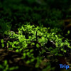 Отель Beihai Love Home Homestay, фото 5