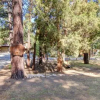 Отель Big Bear Hideaway, фото 4