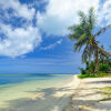 Отель Saipan Ocean View Hotel, фото 26