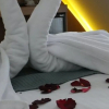 Отель Çınar Park Otel, фото 6