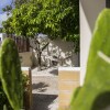 Отель Little Cactus Apartments Aruba, фото 44