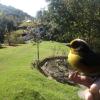 Отель Jardín Colibrí, фото 4