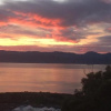 Отель Harbour Lodge Wellington, фото 23
