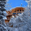 Отель Chalet Morzine, 7 Pieces, 10 Personnes - Fr-1-627-20, фото 1