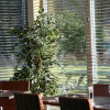 Отель The Lodge At Perth Racecourse, фото 19