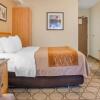 Отель Comfort Inn South, фото 26