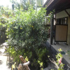 Отель Malino Homestay, фото 14