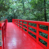 Отель Hakone Kowakien Yunessun, фото 32