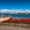 Отель Barry's Bed and Breakfast, фото 12