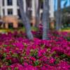 Отель Great Bay Condominiums located at The Ritz-Carlton Club, St Thomas, фото 45