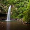 Отель Taveuni Palms, фото 46