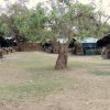 Отель Kiboko Safaris Camp, фото 4