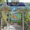 Отель Cabinas Tropicales Puerto Jimenez в Ринконе