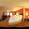 Отель Holiday Inn Express Hotel & Suites Pine Bluff / Pines Mall, an IHG Hotel, фото 4