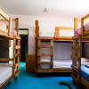 Отель Ocean Tigers Hostel, фото 15