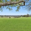 Отель Big Tiny Paperbark Tiny House, фото 8