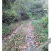 Отель Yangpyeong Gallery C Pension, фото 32