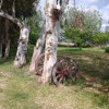 Отель Agriturismo Spinalva, фото 12