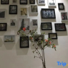 Отель Lanting Homestay, фото 23