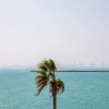 Отель Charming Apt With Arabesque Sea View on the Palm Jumeirah, фото 10