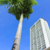 Отель El Palmar Residences, фото 1