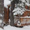 Отель Knotty Pine Cabin, фото 7
