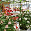 Отель Yijia Guest House, фото 3
