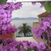 Отель Apartment Graci - 20 m from pebble beach: A1 Gradac, Riviera Makarska, фото 10