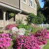 Отель Alpenrose B&B Revelstoke, фото 4