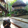 Отель Casa Bambutan, фото 32