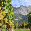 Отель Cubilaris Motel Bad Ragaz, фото 35