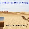Отель Royal Desert Camp, фото 8